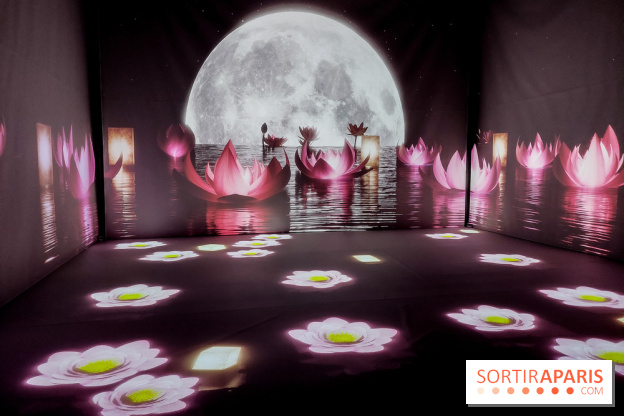 Exposition immersive autour de la Fête des lanternes, nos photos