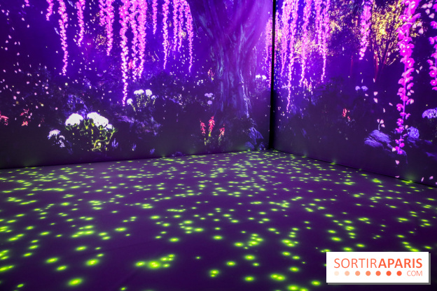 Exposition immersive autour de la Fête des lanternes, nos photos