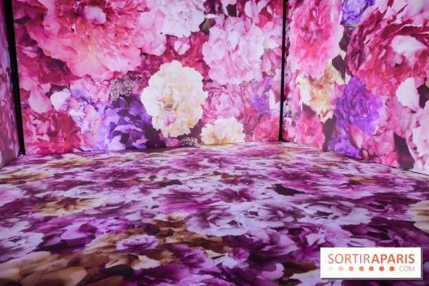 Exposition immersive autour de la Fête des lanternes, nos photos