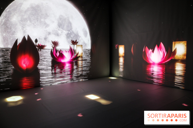 Exposition immersive autour de la Fête des lanternes, nos photos