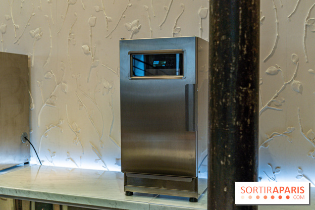 Les glaces de Jacques Génin à Paris