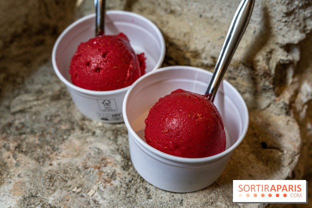Les glaces de Jacques Génin à Paris