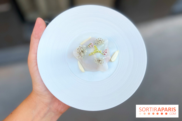 NESO Guillaume Sanchez x The Botanist