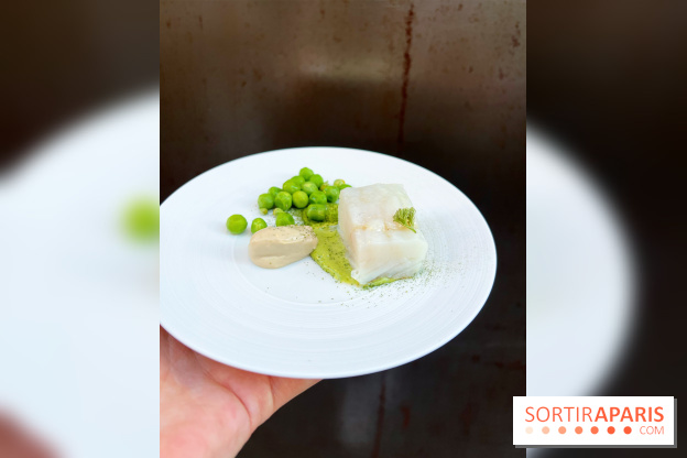 NESO Guillaume Sanchez x The Botanist