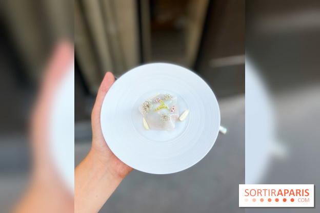 NESO Guillaume Sanchez x The Botanist