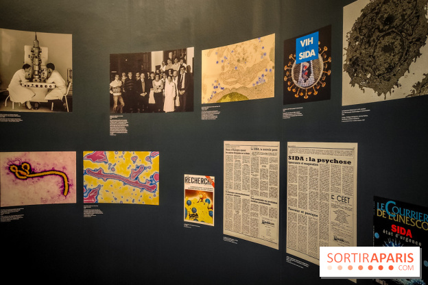 Micro mondes, une exposition à découvrir à la loupe au musée du Quai Branly, nos photos