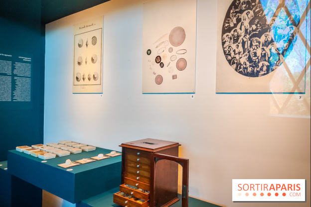 Micro mondes, une exposition à découvrir à la loupe au musée du Quai Branly, nos photos