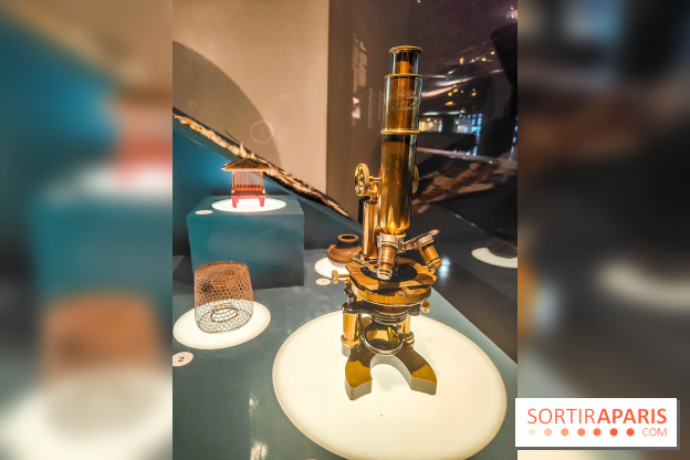 Micro mondes, une exposition à découvrir à la loupe au musée du Quai Branly, nos photos