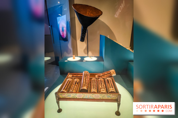 Micro mondes, une exposition à découvrir à la loupe au musée du Quai Branly, nos photos