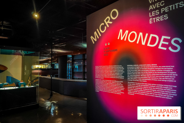Micro mondes, une exposition à découvrir à la loupe au musée du Quai Branly, nos photos