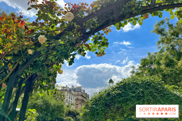 Balade sur la Petite Ceinture du 17e : la promenade Pereire