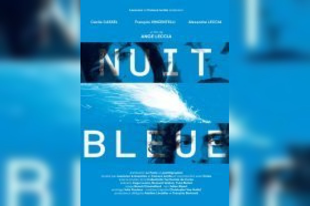 Nuit bleue