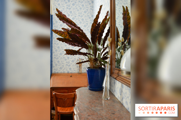 La Maison des Marronniers, un havre de paix en Essonne