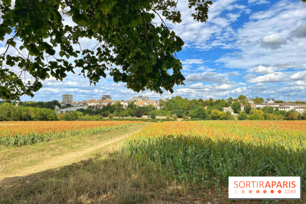 Houdan, ville médiévale et balade historique dans les Yvelines