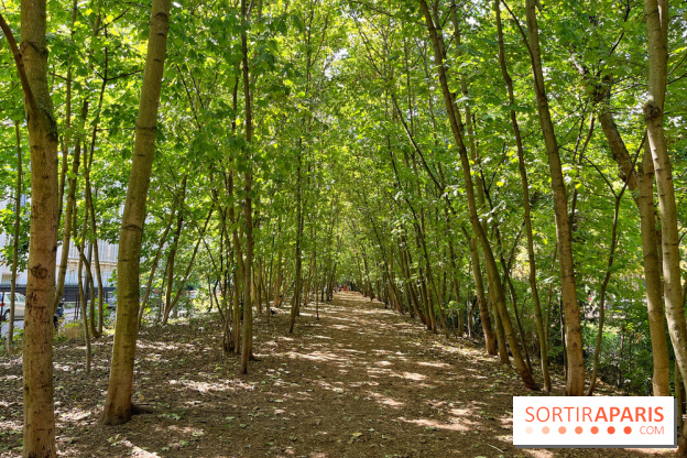 Balade sur la Petite Ceinture du 14 au 16e arrondissement : un sentier nature dépaysant