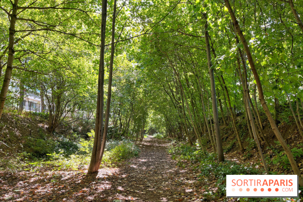 Balade sur la Petite Ceinture du 14 au 16e arrondissement : un sentier nature dépaysant