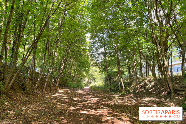 Balade sur la Petite Ceinture du 14 au 16e arrondissement : un sentier nature dépaysant