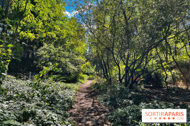 Balade sur la Petite Ceinture du 14 au 16e arrondissement : un sentier nature dépaysant