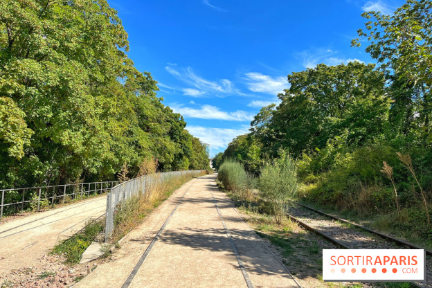 Balade sur la Petite Ceinture du 14 au 16e arrondissement : un sentier nature dépaysant