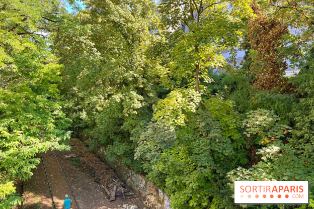 Balade sur la Petite Ceinture du 14 au 16e arrondissement : un sentier nature dépaysant