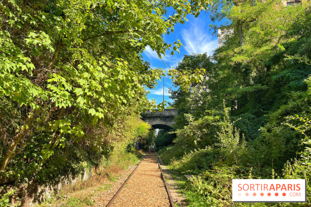 Balade sur la Petite Ceinture du 14 au 16e arrondissement : un sentier nature dépaysant