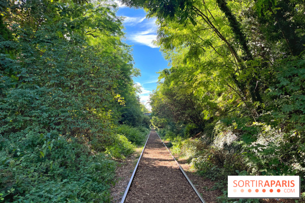 Balade sur la Petite Ceinture du 14 au 16e arrondissement : un sentier nature dépaysant
