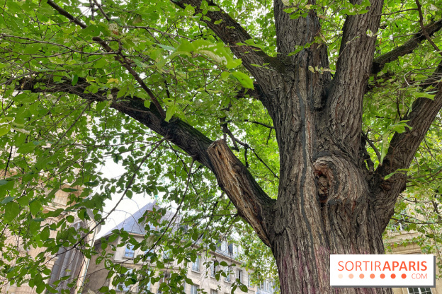 6 anecdotes ésotériques et mystérieuses autour de monuments parisiens
