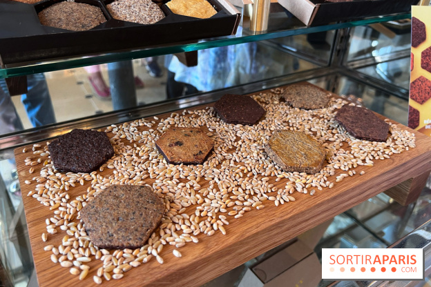 Le Biscuit Alain Ducasse