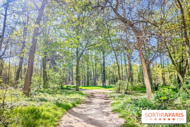 Visuels Paris - forêt bois de Boulogne nature soleil printemps
