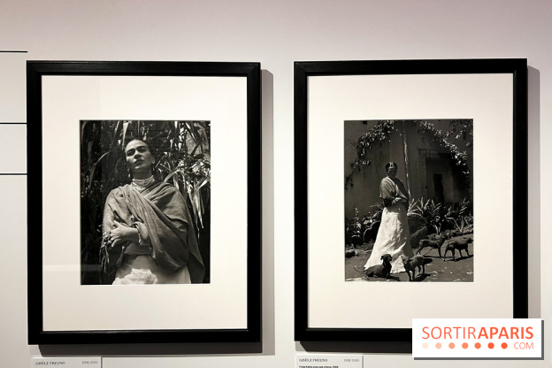 Exposition Frida Kahlo