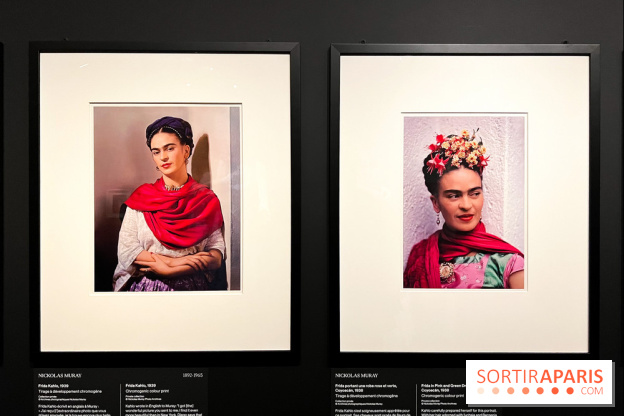 Exposition Frida Kahlo