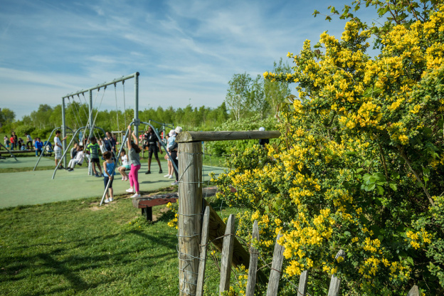 Le parc départemental des Lilas, le grand parc arboré de Vitry-sur-Seine (94) 