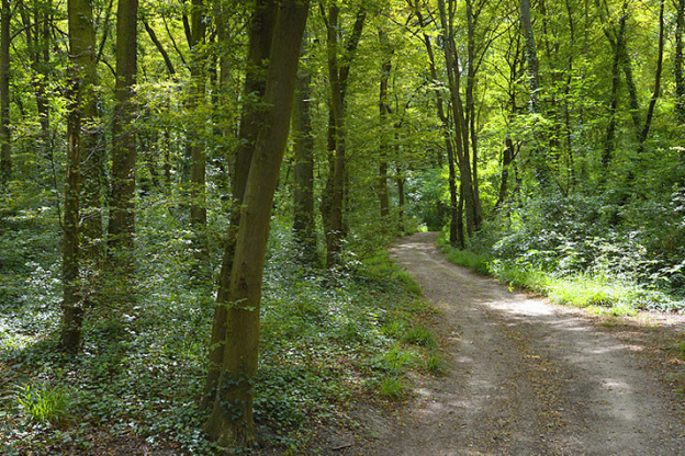 Parc de la Fosse Maussoin