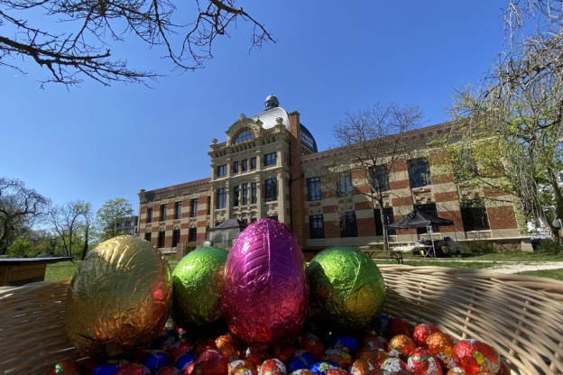 Chasse aux oeufs de Pâques 2022 chez Monkey Quest