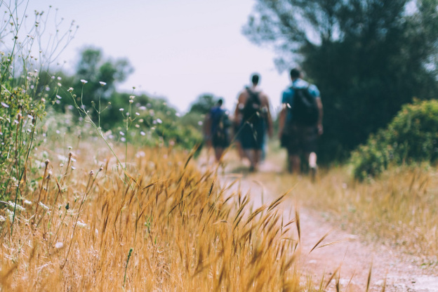 Les Echappées Vertes