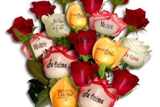 saint valentin
messages d'amour fleurs