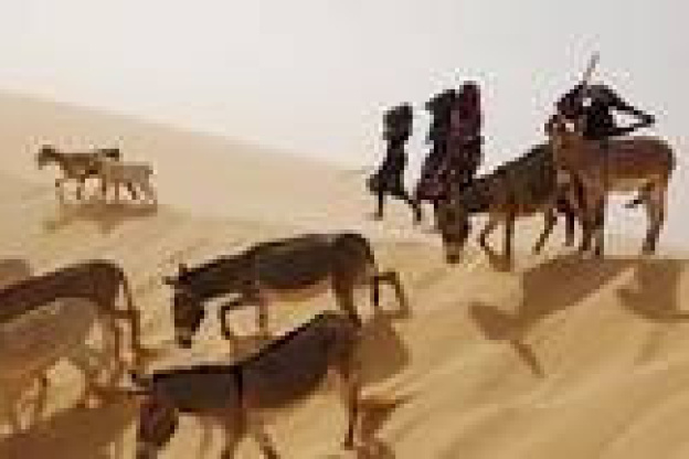 africanistes mai
quai branly