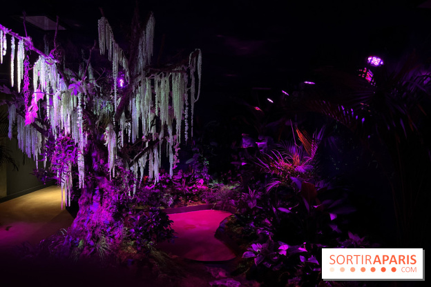 Forêt Bioluminescente - Serre Papillons