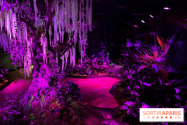 Forêt Bioluminescente - Serre Papillons