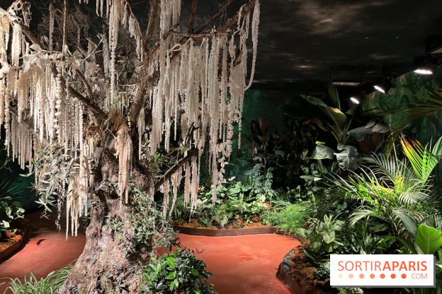 Serre Papillons - La Queue-lez-Yvelines