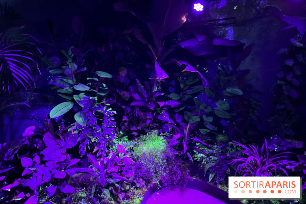 Forêt Bioluminescente - Serre Papillons