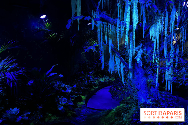 Forêt Bioluminescente - Serre Papillons