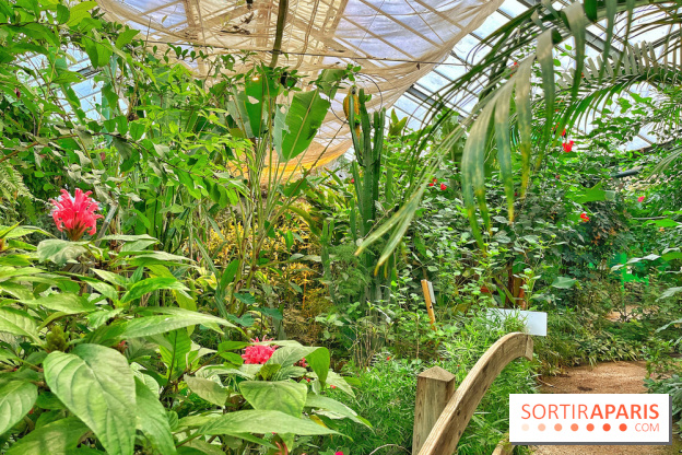 Serre Papillons - La Queue-lez-Yvelines