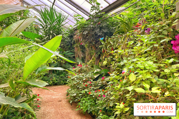 Serre Papillons - La Queue-lez-Yvelines