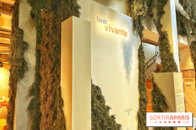 Le Chant des Forêts, l'exposition sensible et gratuite du Maif Social Club