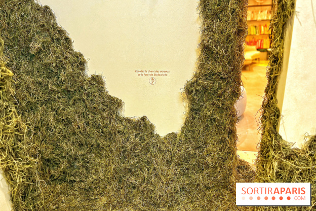 Le Chant des Forêts, l'exposition sensible et gratuite du Maif Social Club