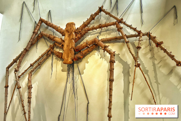 Le Chant des Forêts, l'exposition sensible et gratuite du Maif Social Club