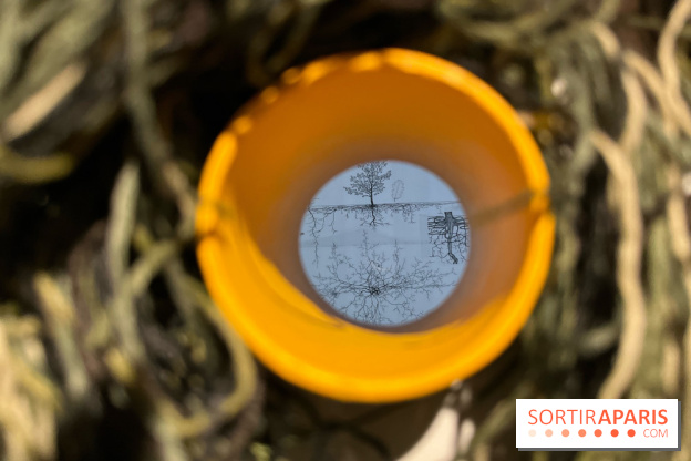 Le Chant des Forêts, l'exposition sensible et gratuite du Maif Social Club