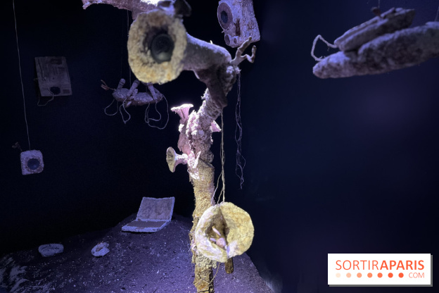 Le Chant des Forêts, l'exposition sensible et gratuite du Maif Social Club