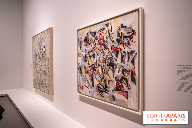 Exposition Monet - Mitchell Fondation Vuitton - Joan Mitchell  -  impressionnisme abstrait